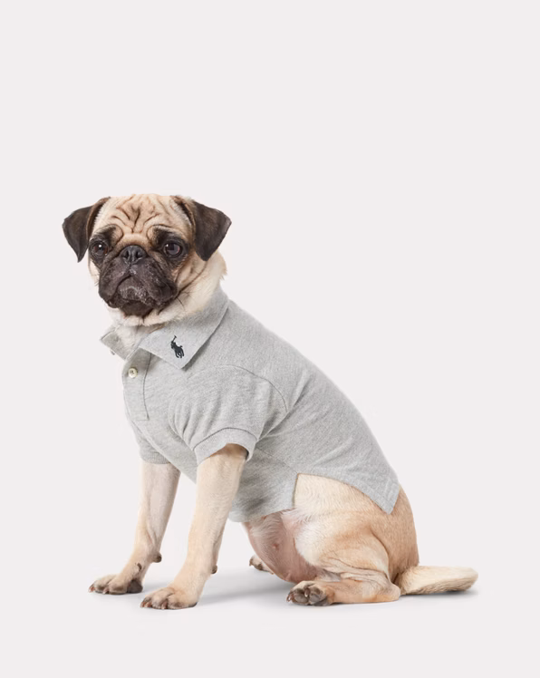 Cotton Mesh Dog Polo Shirt